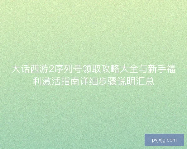 大话西游2序列号领取攻略大全与新手福利激活指南详细步骤说明汇总