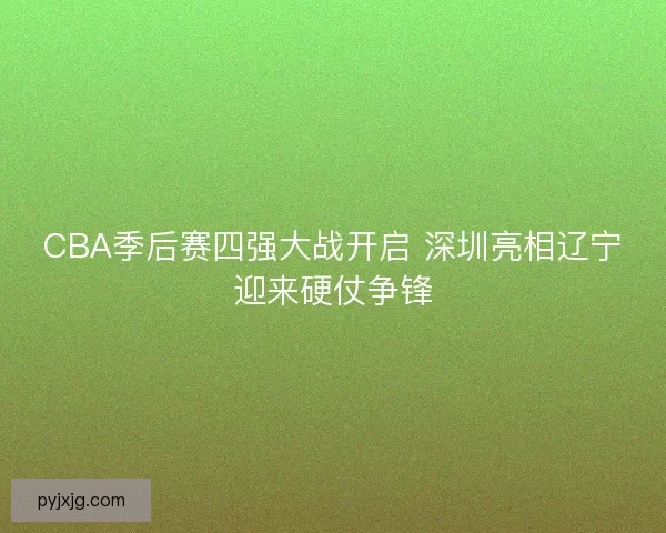 CBA季后赛四强大战开启 深圳亮相辽宁迎来硬仗争锋
