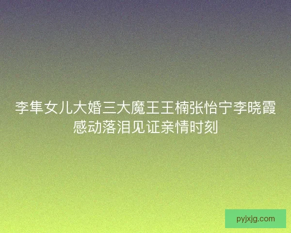 李隼女儿大婚三大魔王王楠张怡宁李晓霞感动落泪见证亲情时刻