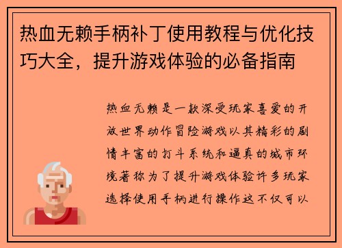 热血无赖手柄补丁使用教程与优化技巧大全，提升游戏体验的必备指南